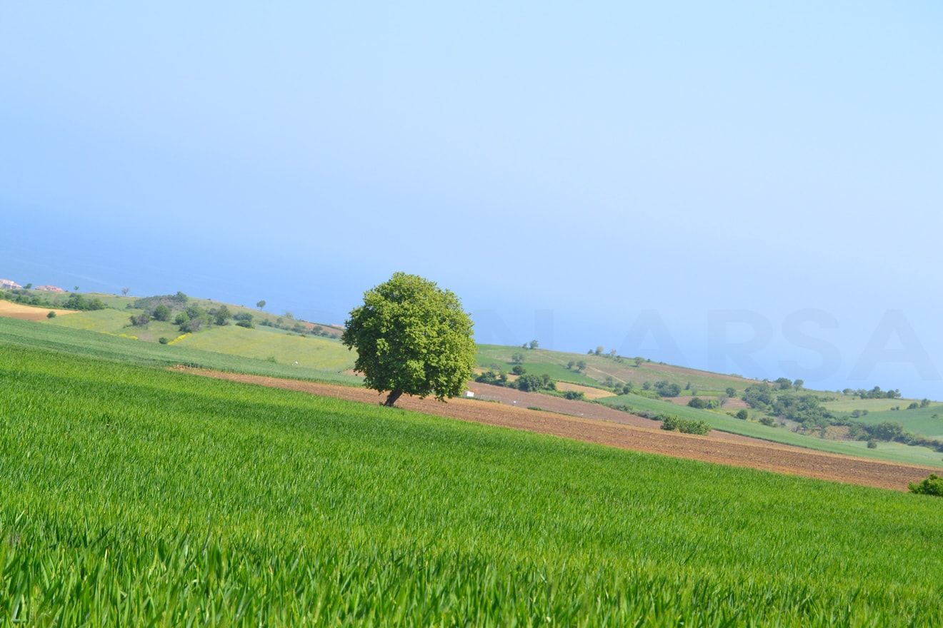 Arsa İlanları